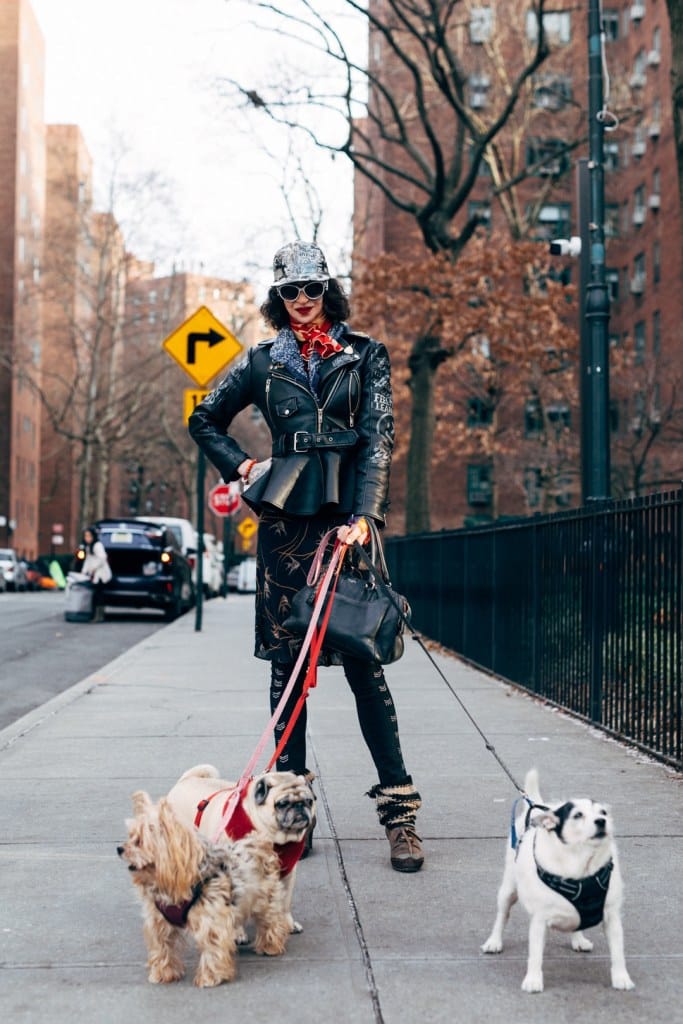 Dogs of New York City: Photography by Ohad Kab, New Yorker Life