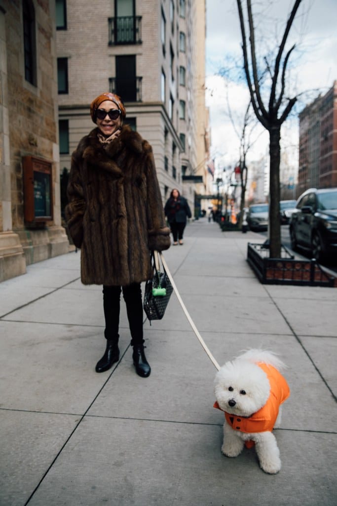 Dogs of New York City: Photography by Ohad Kab, New Yorker Life
