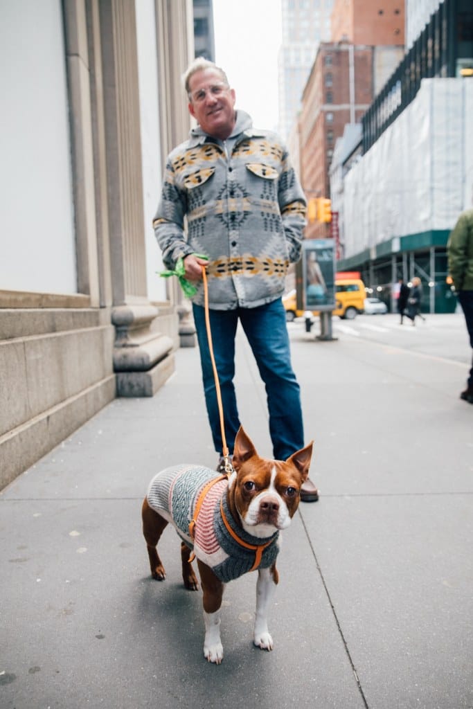 Dogs of New York City: Photography by Ohad Kab, New Yorker Life