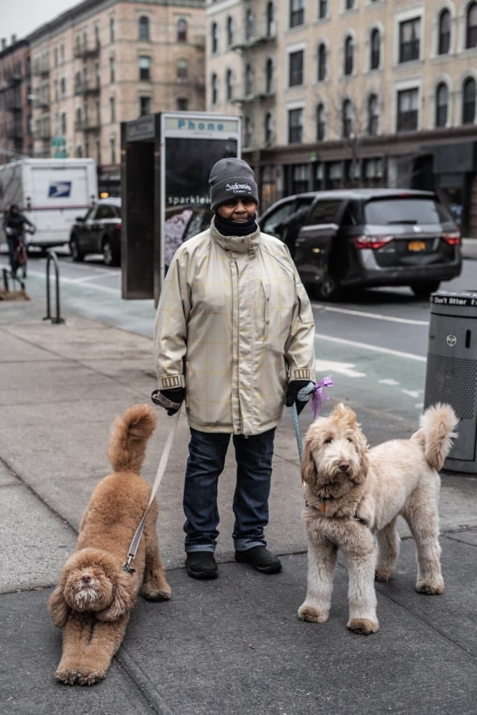 Dogs of New York City: Photography by Ohad Kab, New Yorker Life