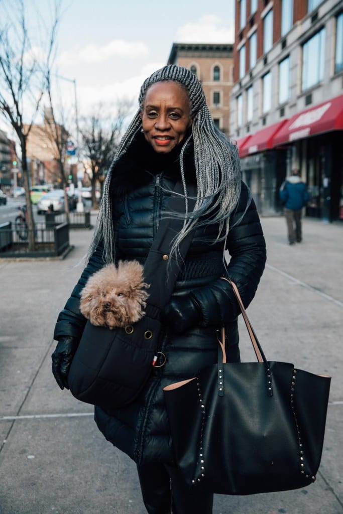 Dogs of New York City: Photography by Ohad Kab, New Yorker Life