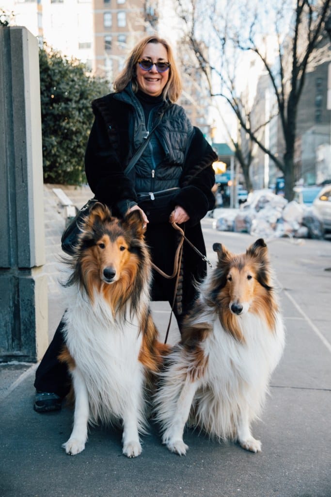 Dogs of New York City: Photography by Ohad Kab, New Yorker Life