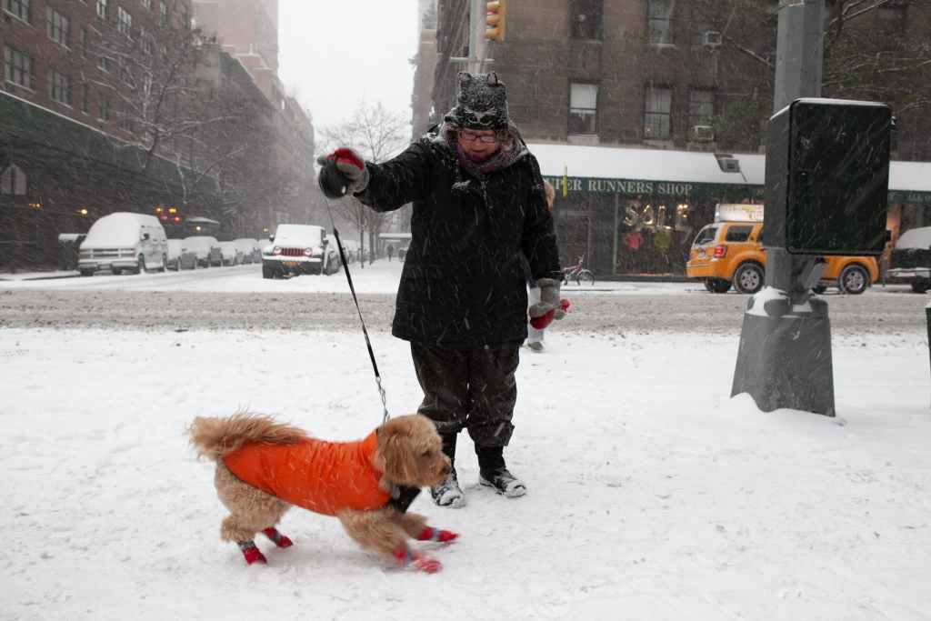 Upper East Side, Manhattan covered in snow, New York City by Guney Cuceloglu