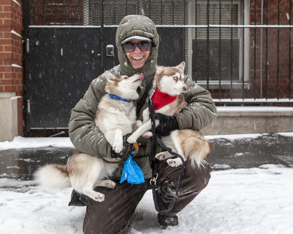 Dogs of New York City: Photography by Ohad Kab, New Yorker Life